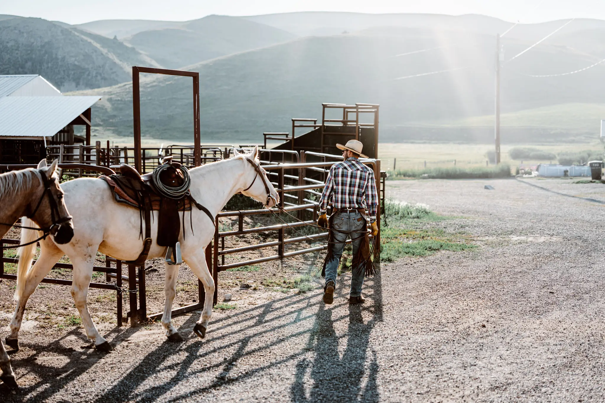 Man in plaid shirt tending to a horse by metal fencing in a rural setting.
